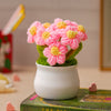 JH Gallery Crochet Pot (5 flowers pink)