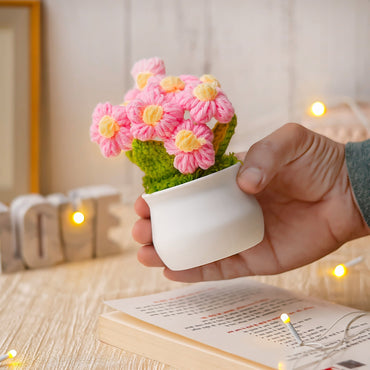 JH Gallery Crochet Pot (5 flowers pink)