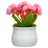 JH Gallery Crochet Pot (5 flowers pink) - view 7