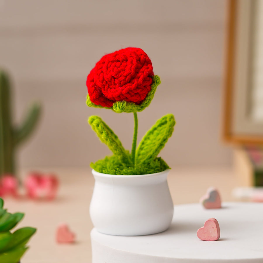JH Gallery Crochet Pot (Red Rose)