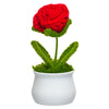 JH Gallery Crochet Pot (Red Rose) - view 4