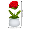 JH Gallery Crochet Pot (Red Rose) - view 5