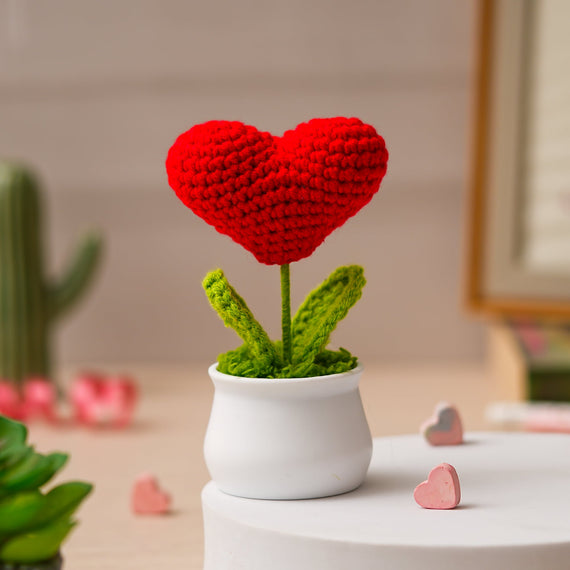 JH Gallery Crochet Pot (Red Heart)