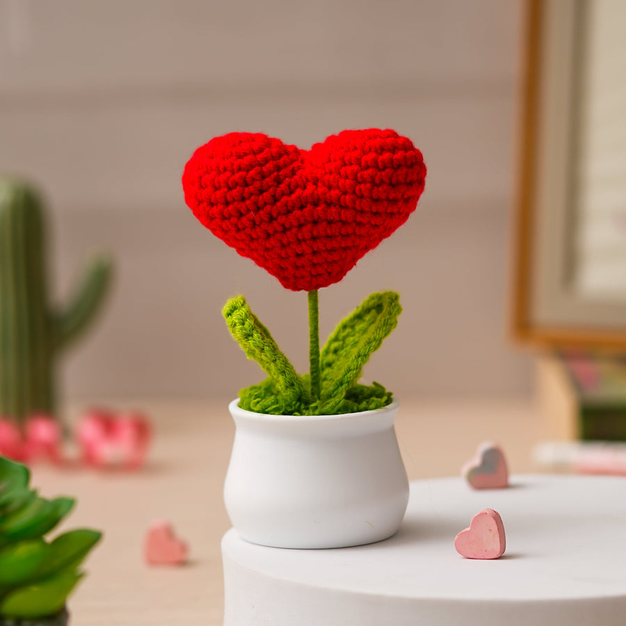 JH Gallery Crochet Pot (Red Heart)