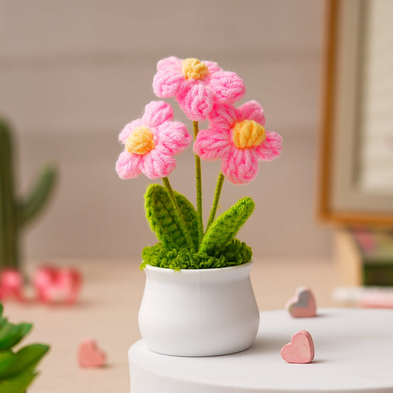JH Gallery Crochet Pot (3 flowers pink)