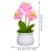 JH Gallery Crochet Pot (3 flowers pink) - view 5