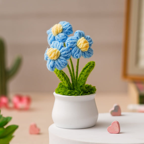 JH Gallery Crochet Pot (3 flowers blue)