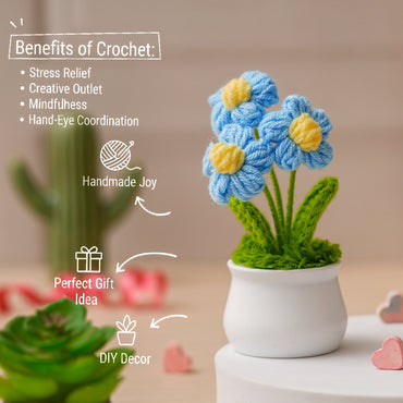 JH Gallery Crochet Pot (3 flowers blue)