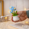 JH Gallery Crochet Pot (3 flowers blue) - view 3