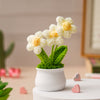 JH Gallery Crochet Pot (3 flowers white)