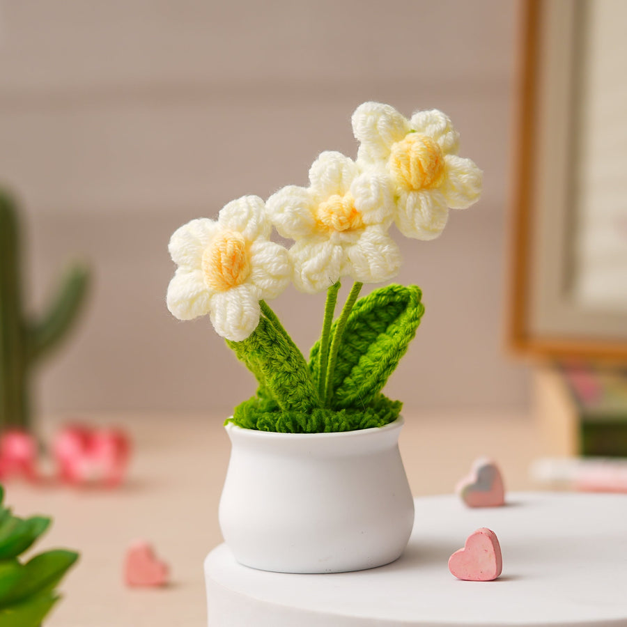 JH Gallery Crochet Pot (3 flowers white)