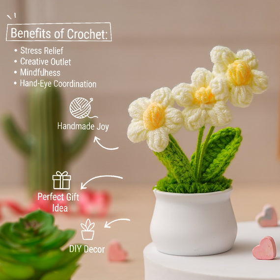 JH Gallery Crochet Pot (3 flowers white)