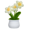 JH Gallery Crochet Pot (3 flowers white) - view 4