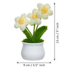 JH Gallery Crochet Pot (3 flowers white) - view 5