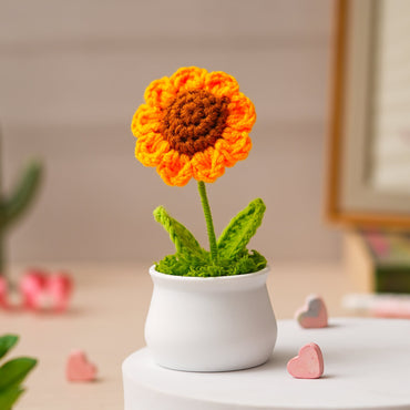 JH Gallery Crochet Pot (Sunflower)