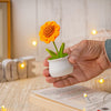 JH Gallery Crochet Pot (Sunflower) - view 3