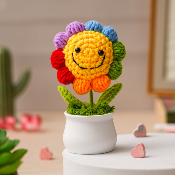 JH Gallery Crochet Pot (Rainbow Smiley)