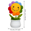 JH Gallery Crochet Pot (Rainbow Smiley) - view 5