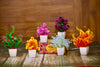 JH Gallery Artificial Plants with Pot (Pack of 6) - view 5